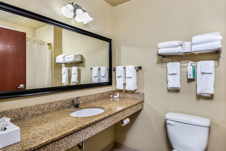 Bathroom 4, Cobblestone Inn & Suites - Vinton, Benton