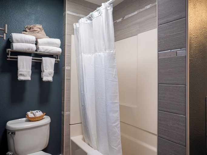 Bathroom 4, Balanced Rock Inn, Mesa