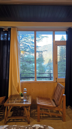 Interior 4, Hils & Paw, Kullu