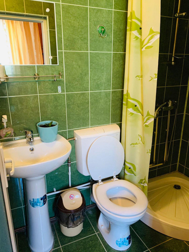 Bathroom 3, Casa Andu, Dambovicioara