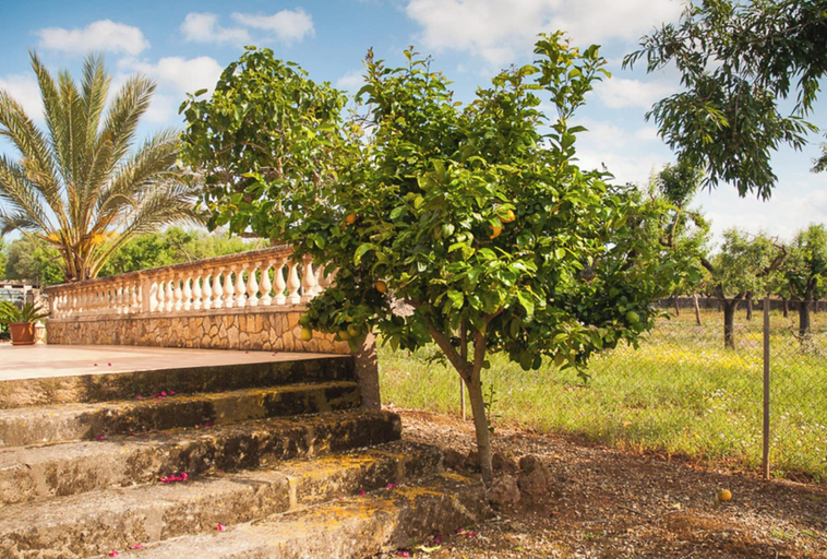 Property grounds 4, Cottage in Mallorca With Private Pool & Views, Baleares