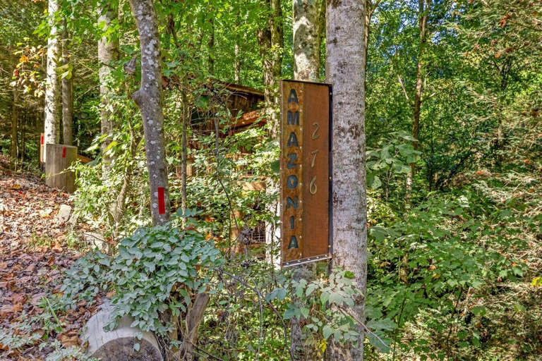 Interior 3, Amazonia, Wolfe