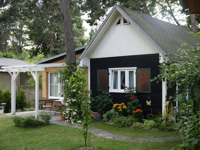 Primary image