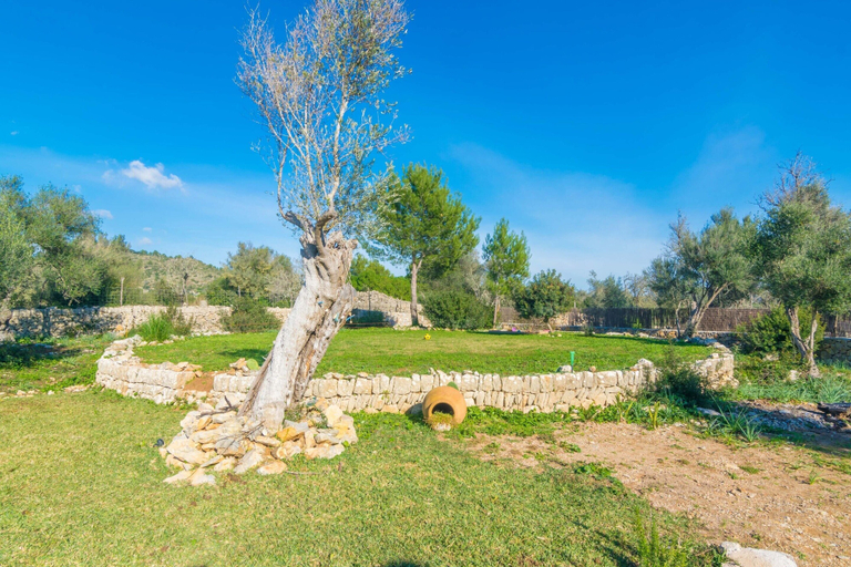 Property grounds 5, Can Colomer Ferragut - Villa With Private Pool, Baleares