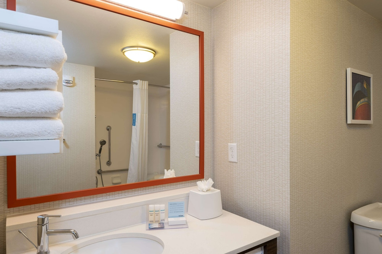 Bathroom 4, Hampton Inn & Suites Fort Myers - Colonial Blvd, Lee