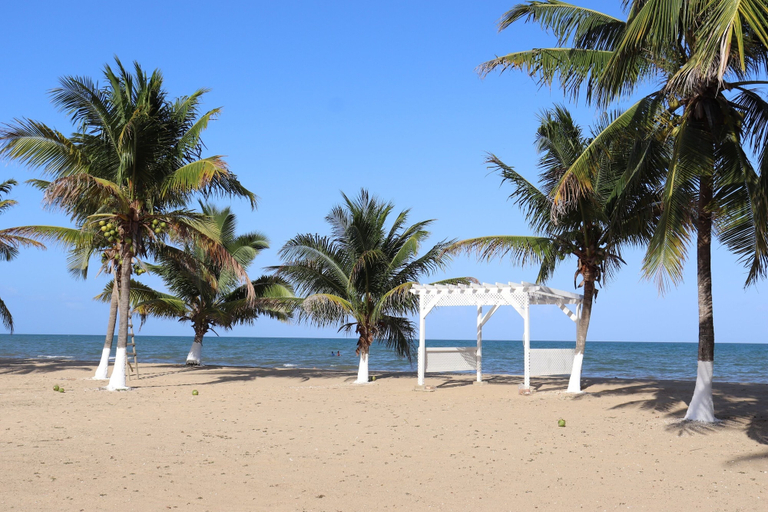 Beach, Sunshine Cabanas At Ocean View