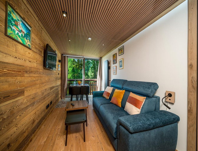 Living room 5, Wooden Apartment With Balcony, Alpes-de-Haute-Provence
