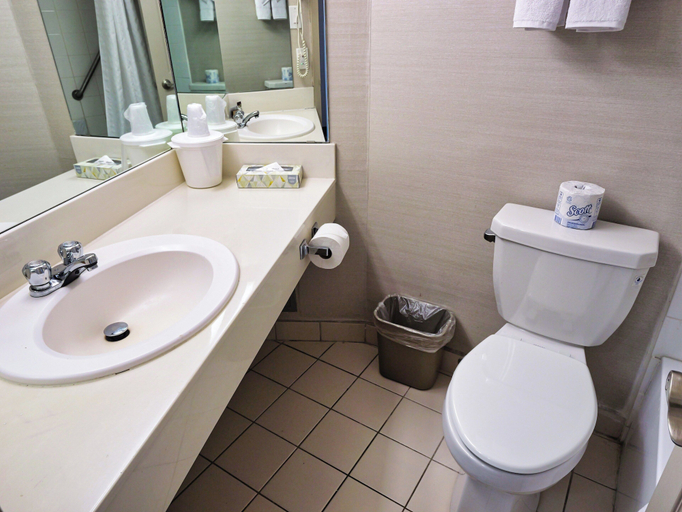 Bathroom 4, Continental Inn & Suites, Division No. 11
