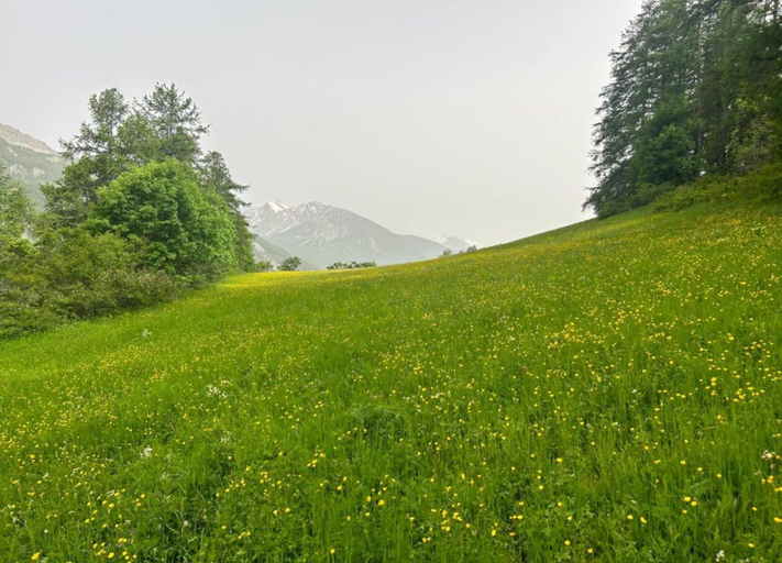 View from property 3, Apartment in Allos With Ski Slope Access, Alpes-de-Haute-Provence