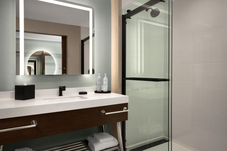 Bathroom 5, Tempo By Hilton Pigeon Forge, Sevier