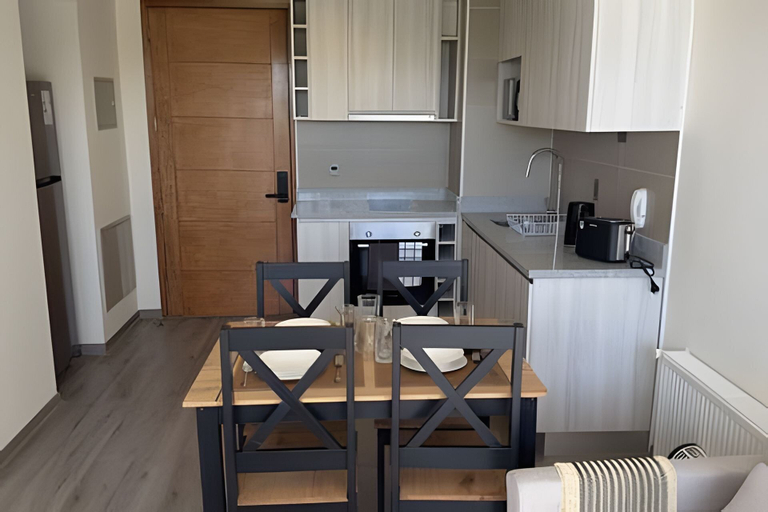 Private kitchen 2, Oceana Suites Brisas Verdes Concepción, Concepción