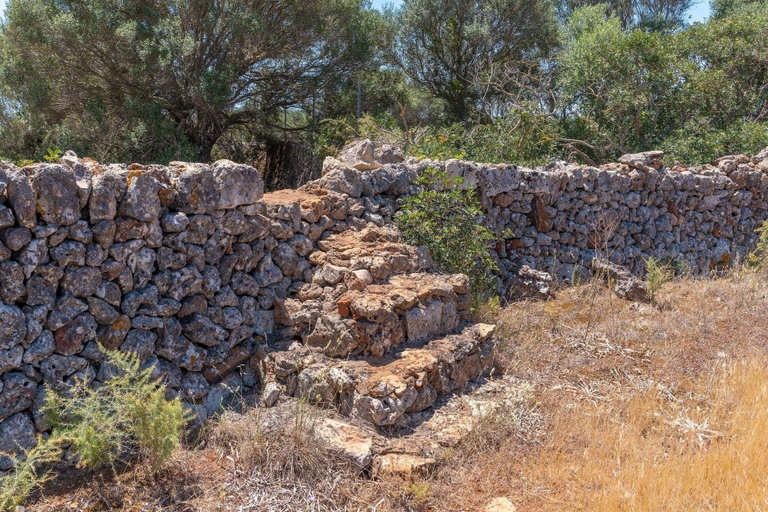 Property grounds 5, Finca Can Guillem Boquet - Villa With Private Pool, Baleares