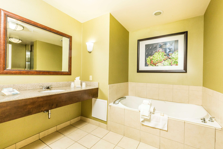 Bathroom 4, Hilton Garden Inn St. George, Washington
