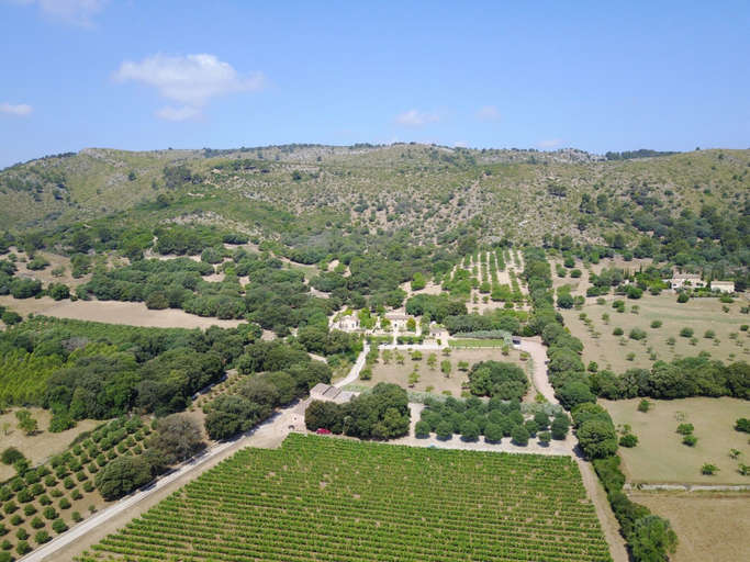 Exterior 4, Son Simo Vell Pool & Vineyard Views, Baleares