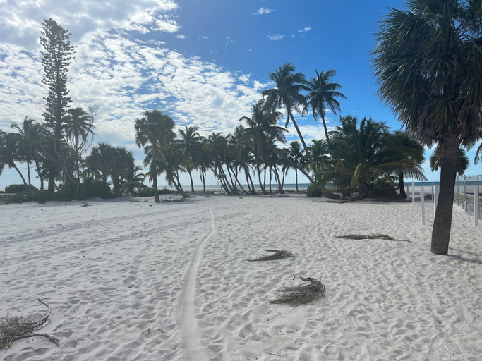 Beach 4, Tropical Sands Resort, Lee