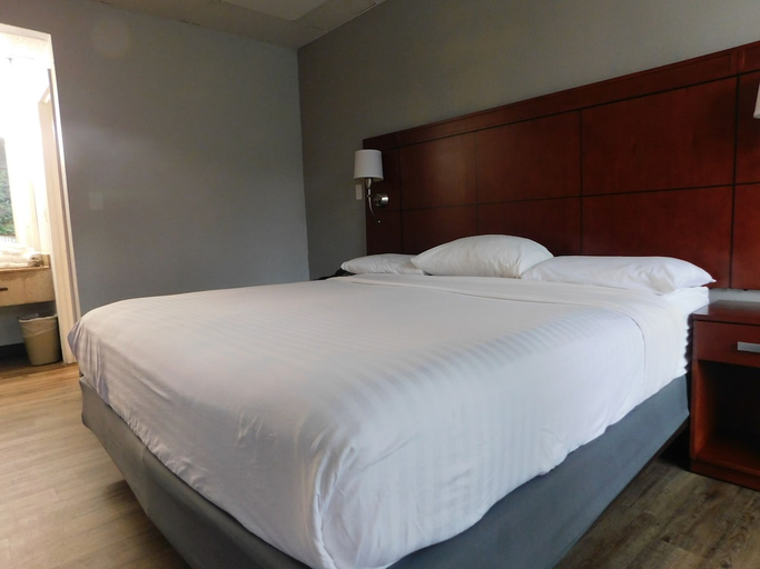 Others 4, Park View Inn, Guilford