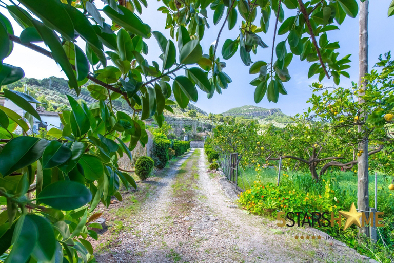 View from property 5, Country House in Soller With Saltwater Pool, Baleares