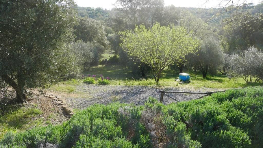 Property grounds 4, Tenuta Le Mandorlaie Agriturismo, Grosseto