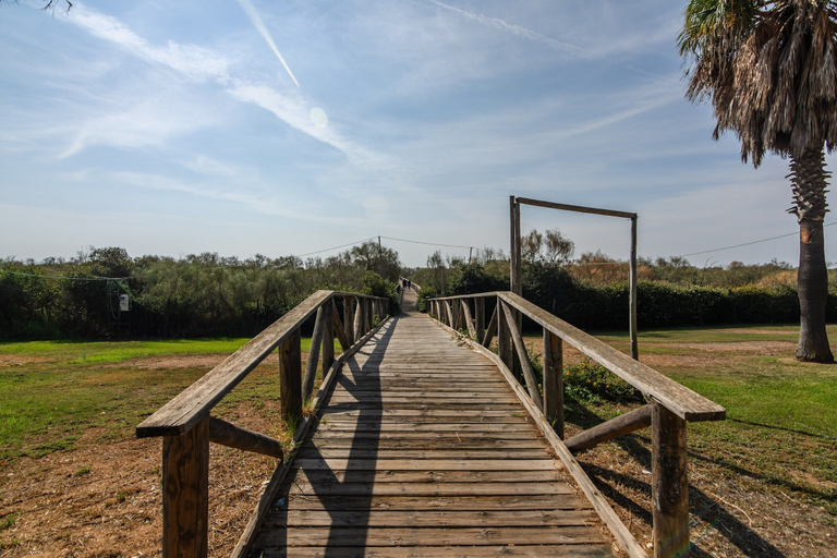 Exterior 4, Apartment in Punta del Moral, Huelva