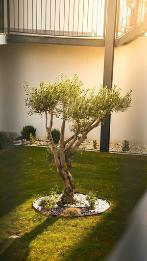 Exterior 4, TopTepeHome, Tire