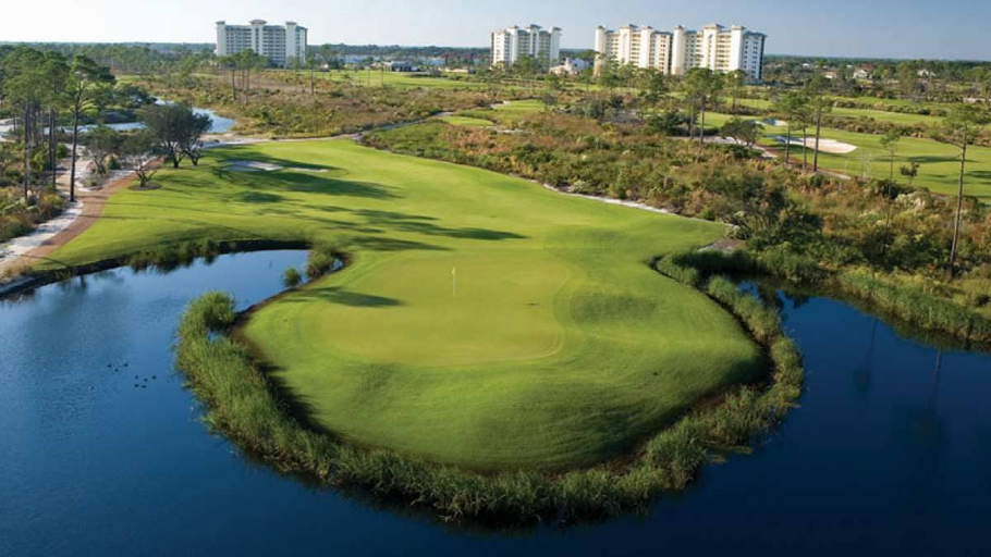 Golf, Dreamy, Accessible Family Home for 12, Baldwin