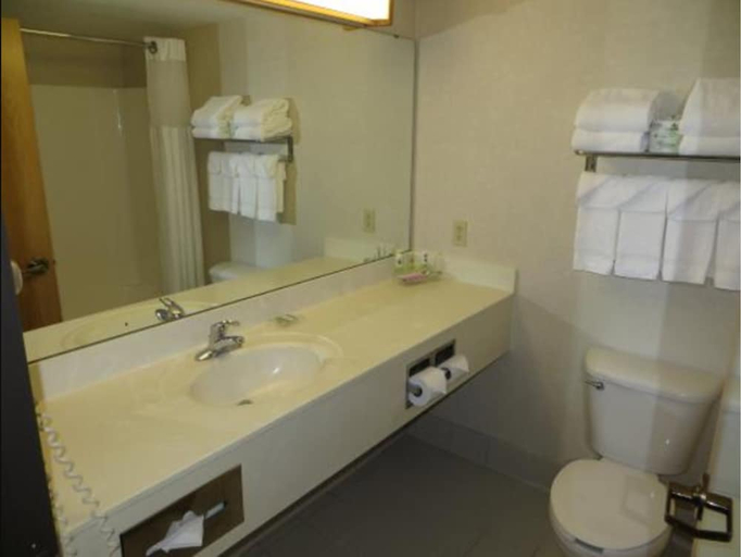Bathroom, Country Inn & Suites by Radisson, Lansing, MI, Eaton