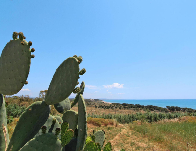 View from property, Apartment in Castelvetrano With Garden, Trapani