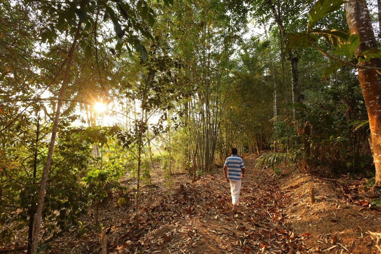 Land view from property, Vayuvana Heritage, Wayanad