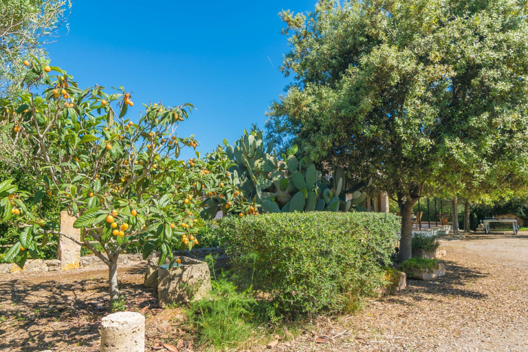 Garden 2, Can Mostatxet - Villa With Private Pool. Free Wifi, Baleares