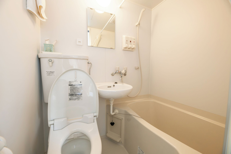 Bathroom 4, Hakodate Kaikouan, Hakodate