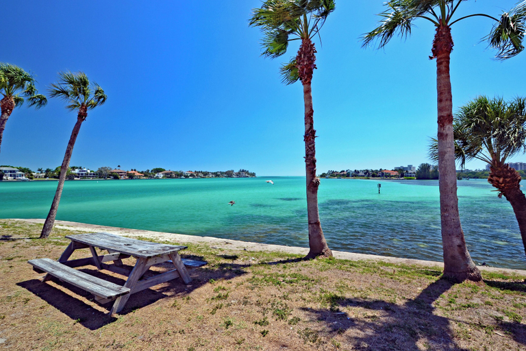 Interior 4, Midnight Cove II - Doveplum, Sarasota