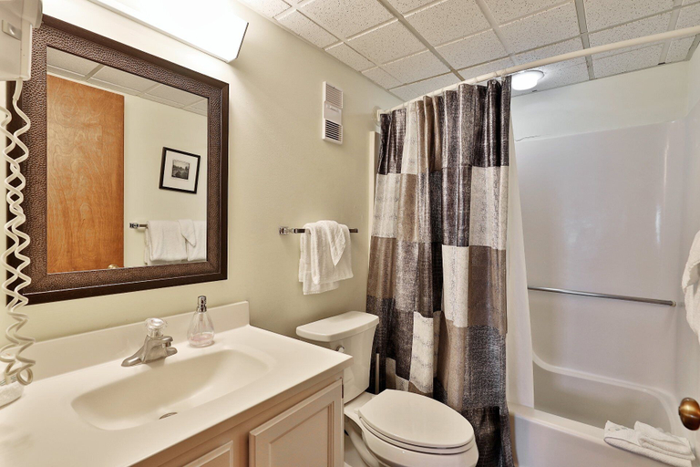 Bathroom 4, Mountain Green Resort, Rutland