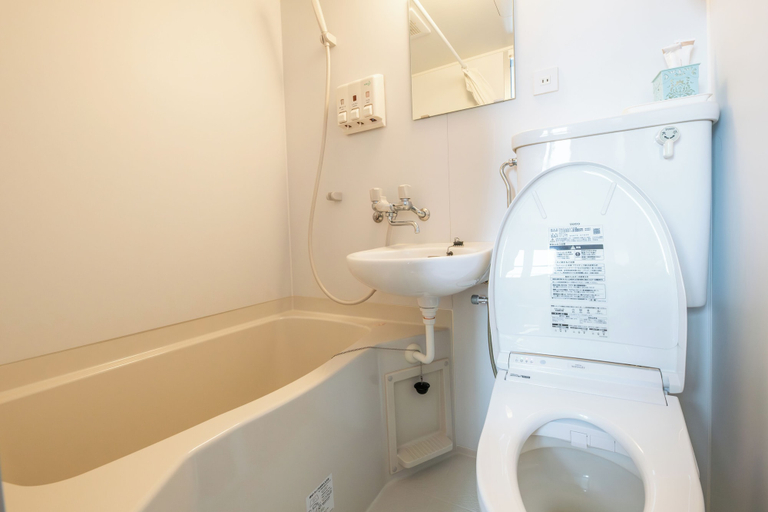 Bathroom 3, Hakodate Kaikouan, Hakodate