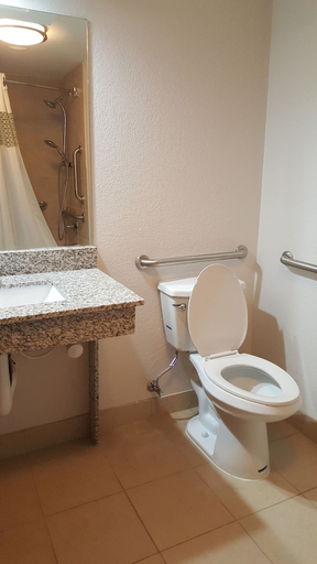 Bathroom 4, The Hotel@Dayton South, Montgomery