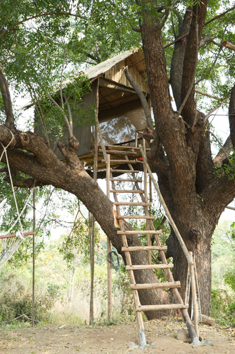 Property grounds 2, Junglee Bagicha Agro Tourism, Yavatmal