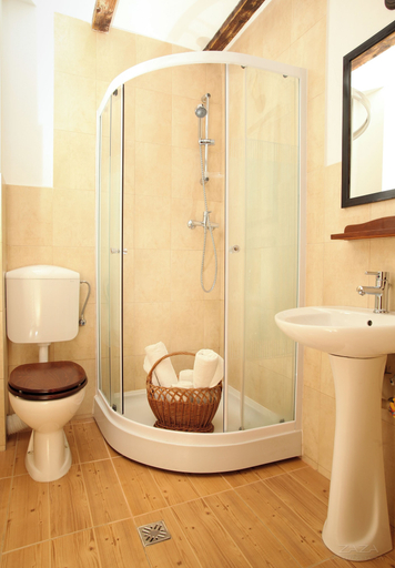 Bathroom 3, Casa Mosului, Cartisoara