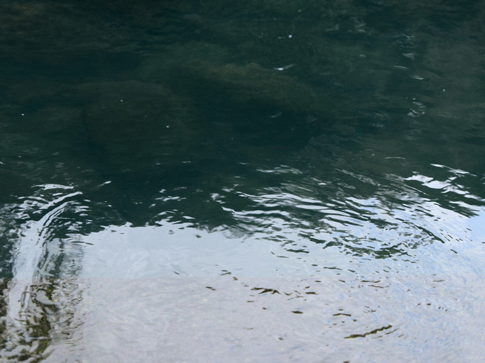 Fishing 2, GEOSPOT MOTOHAKONE B, Hakone