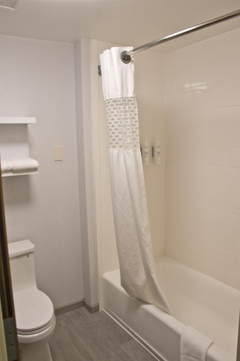 Bathroom 4, Hampton Inn & Suites Denver-Speer Boulevard, Denver