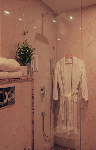 Bathroom 2, The novello by hotel evergreen, Dehradun