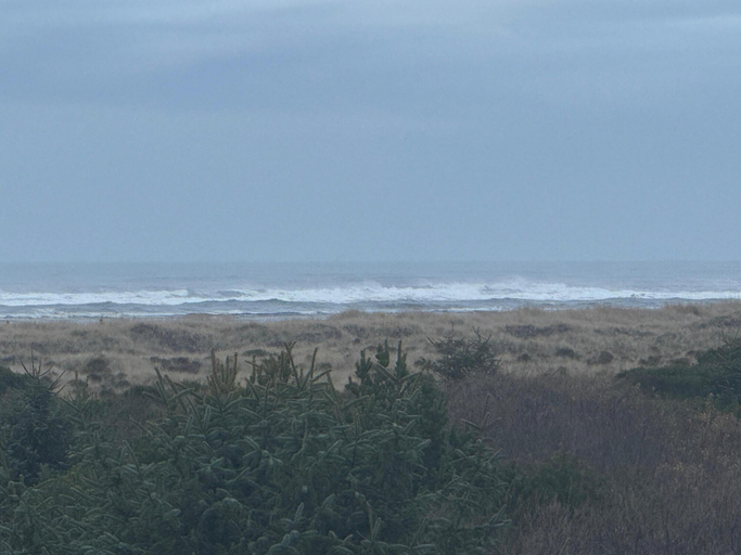 Room 4, OceanShores Inn, Grays Harbor