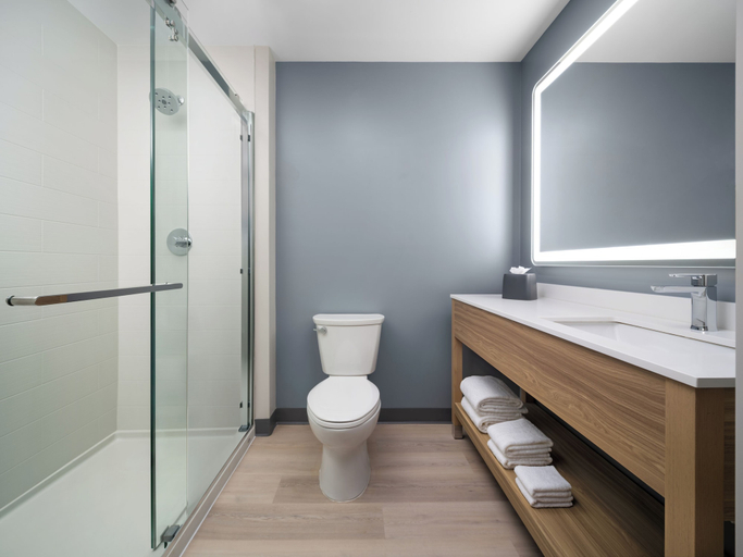 Bathroom 4, Hyatt Studios Mobile/Tillmans Corner, Mobile
