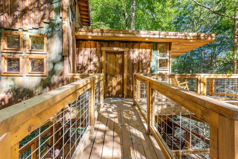 Interior 4, Amazonia, Wolfe