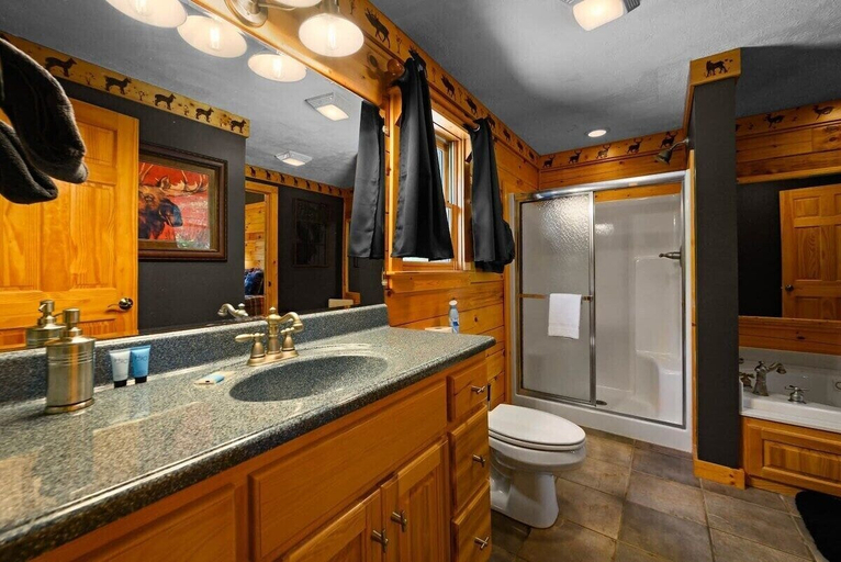 Bathroom 2, Cabin On A Cloud, Sevier