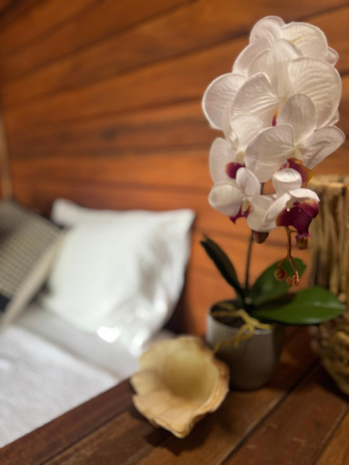 Bedroom 2, Diamond Island Eco Resort, AcehSingkil
