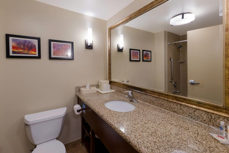 Bathroom 5, Comfort Suites El Paso West, El Paso