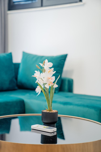 Others 5, Luxe Apartment