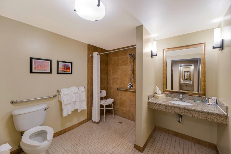 Bathroom 5, Comfort Suites El Paso West, El Paso