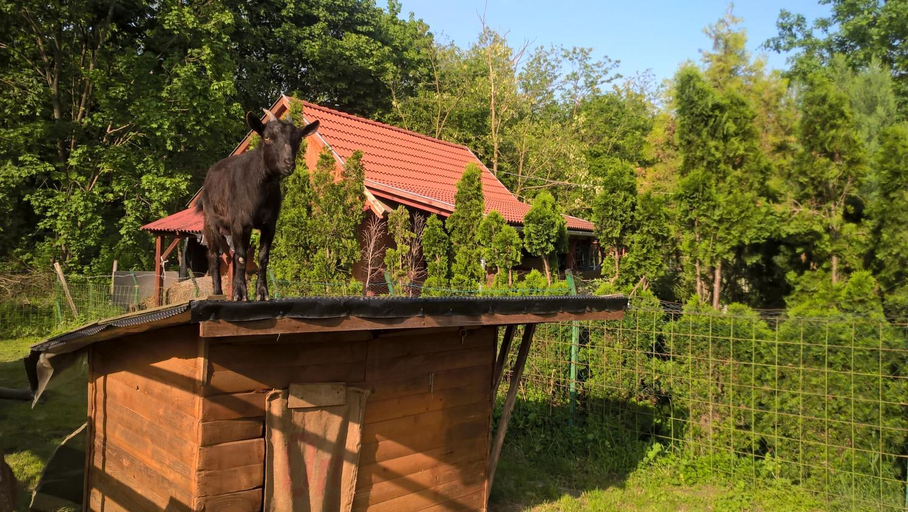 Others 4, Ezerjo Okofogado, Őriszentpéter