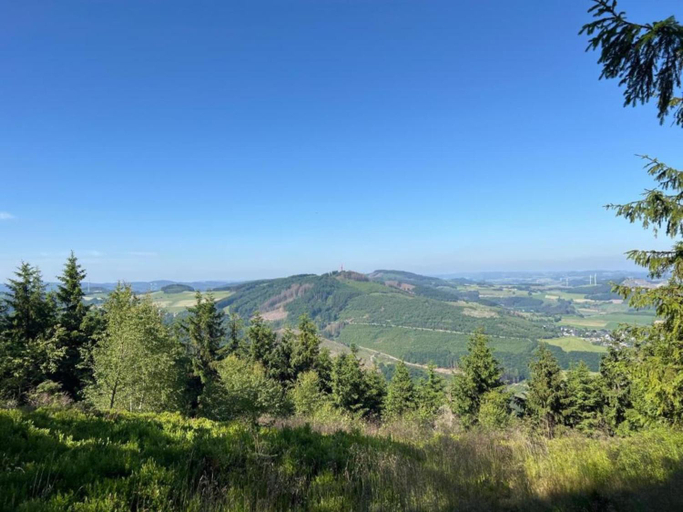 Others 3, Chalet im Sauerland nahe Skigebiet Winterberg, Hochsauerlandkreis