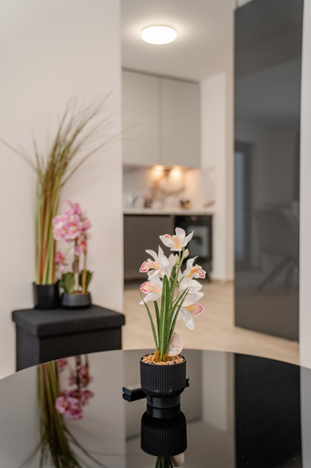 Others 3, Luxe Apartment